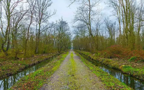 عکس طبیعت نور مازندران