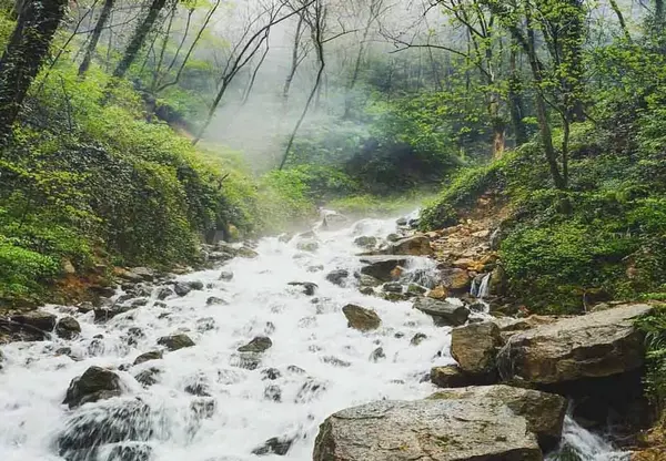 عکس طبیعت نور مازندران