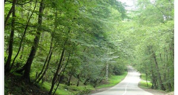 عکس طبیعت نور مازندران