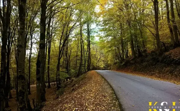 عکس طبیعت نور مازندران