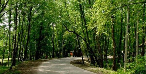عکس طبیعت نور مازندران
