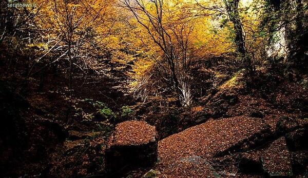 عکس طبیعت نور مازندران