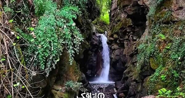 عکس از طبیعت معمولی