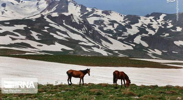عکس طبیعت کوهستانی