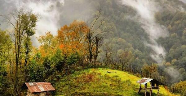 عکس از طبیعت لنگرود