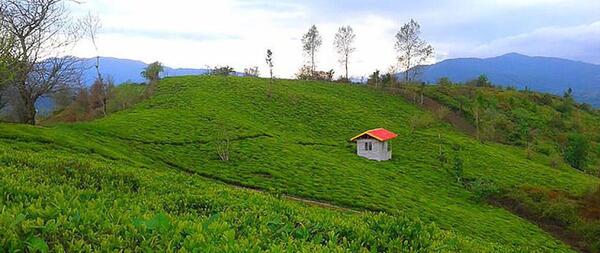 عکس از طبیعت لنگرود