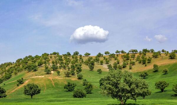 عکس طبیعت بکر لردگان