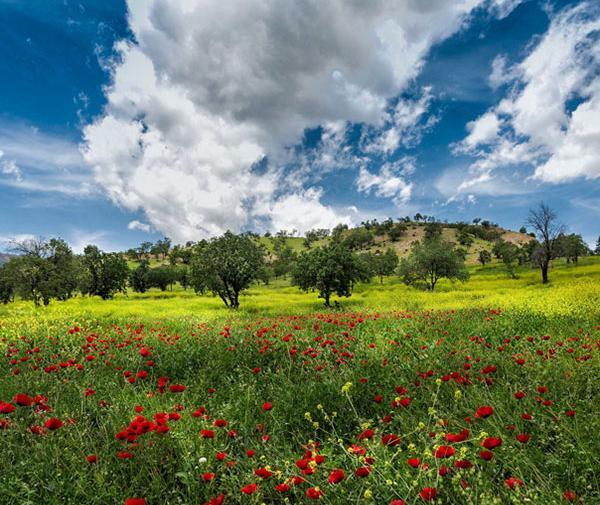 عکس طبیعت بکر لردگان