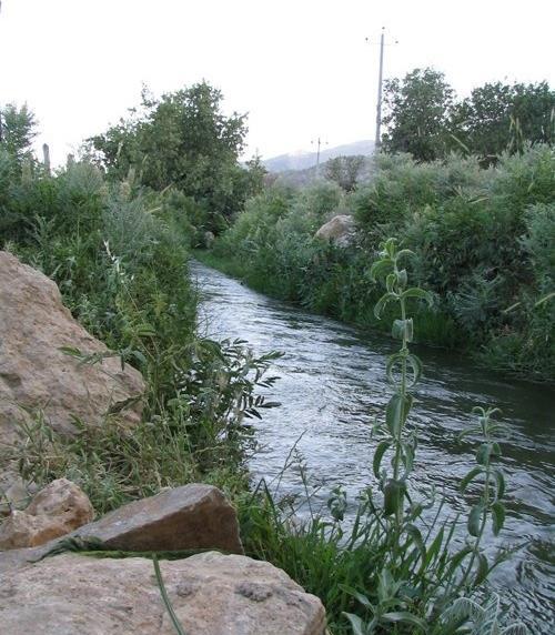 عکس طبیعت کوهمره سرخی