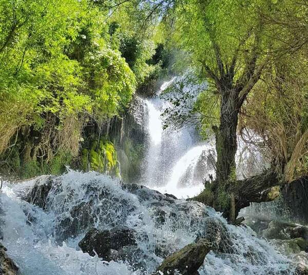 عکس طبیعت کوهمره سرخی