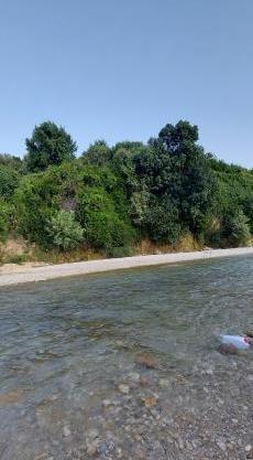 عکس طبیعت کوهمره سرخی
