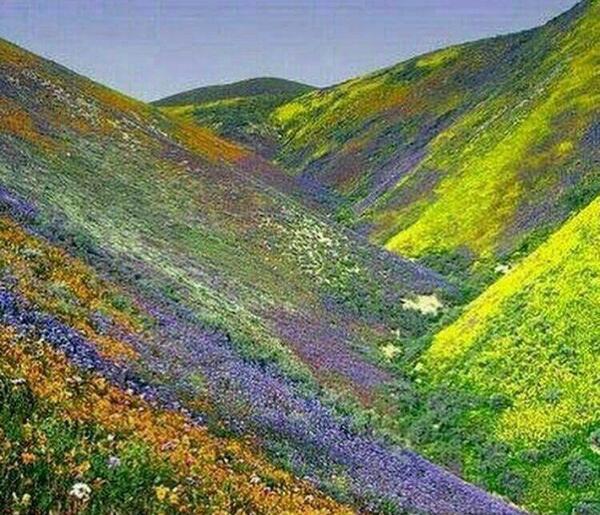 عکس طبیعت کاکارضا لرستان