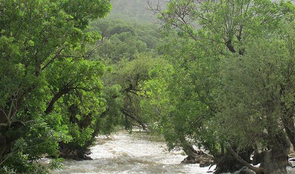 عکس طبیعت کاکارضا لرستان