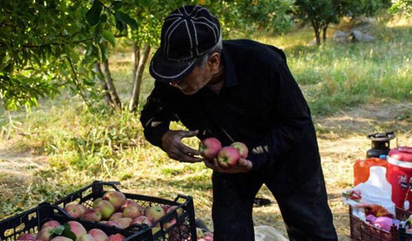 عکس طبیعت کاکارضا لرستان
