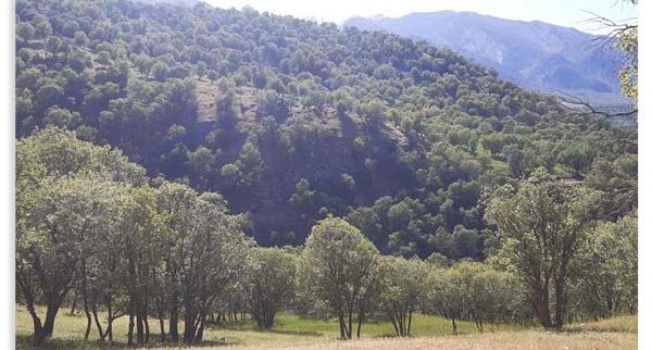 عکس طبیعت کوهرنگ