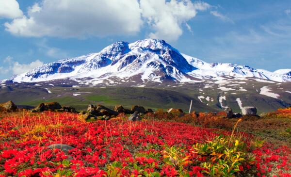 عکس طبیعت کوه سبلان