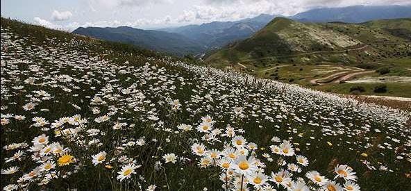 عکس طبیعت کوه سبلان