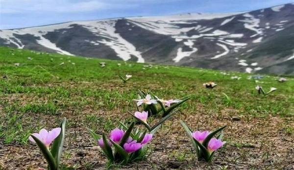 عکس طبیعت کوه سبلان