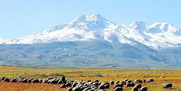 عکس طبیعت کوه سبلان
