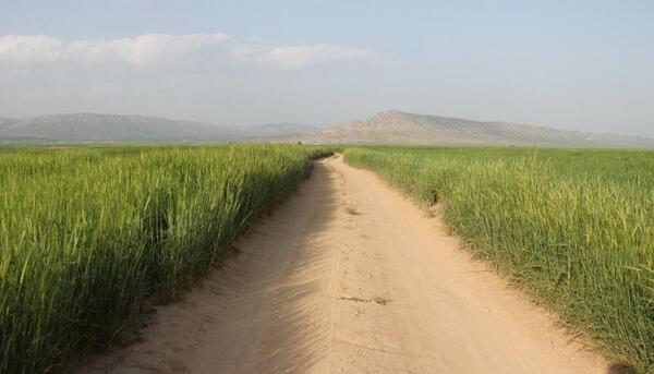 عکس طبیعت کوهدشت