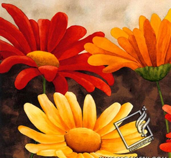 عکس طبیعت گل بابونه