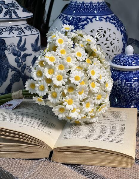 عکس طبیعت گل بابونه