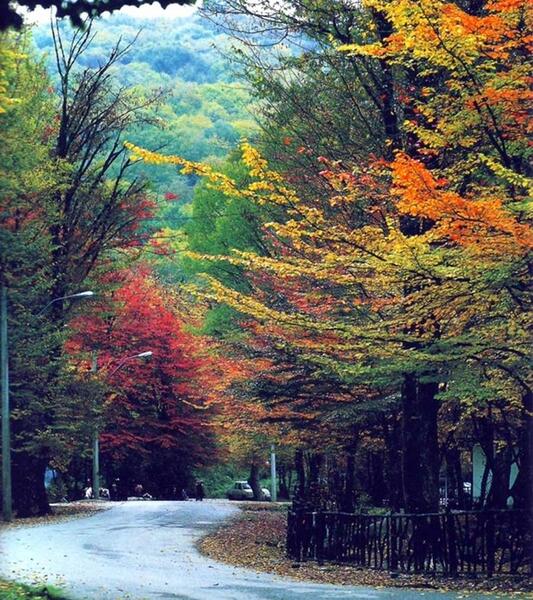 عکس های طبیعت استان گلستان