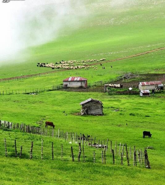 دانلود عکس طبیعت گیلان