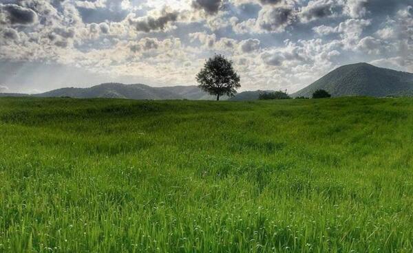 عکس طبیعت بکر کرمانشاه