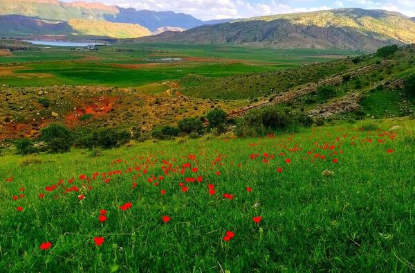 عکس طبیعت بکر کرمانشاه