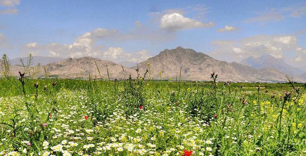عکس طبیعت بکر کرمانشاه