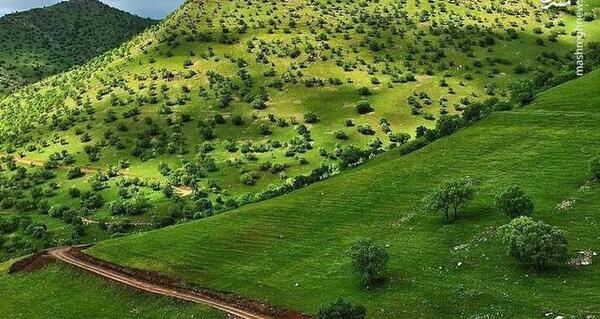 عکس طبیعت بکر کرمانشاه