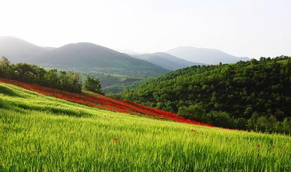 دانلود عکس طبیعت کردستان
