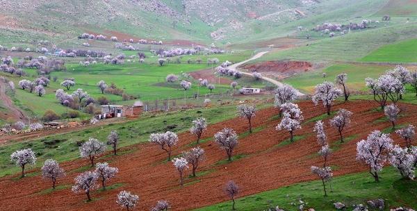 دانلود عکس طبیعت کردستان