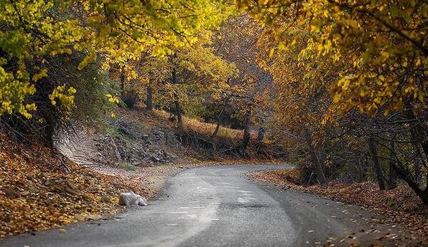 دانلود عکس طبیعت کردستان