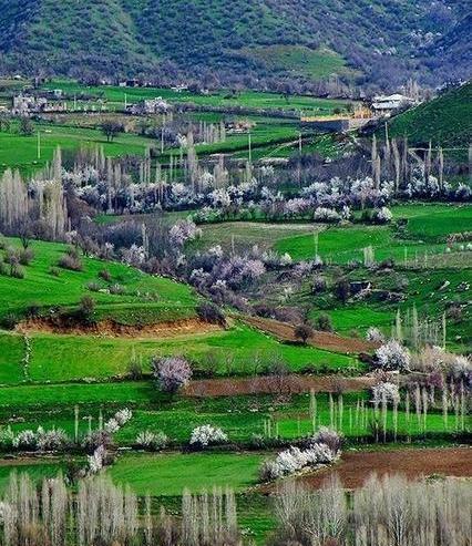 دانلود عکس طبیعت کردستان