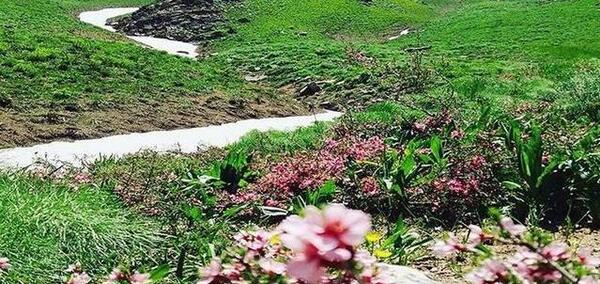 دانلود عکس طبیعت کردستان