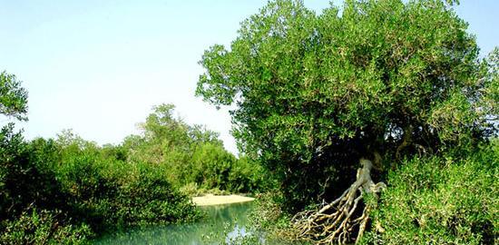 عکس طبیعت جزیره قشم