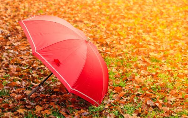 دانلود عکس طبیعت قرمز