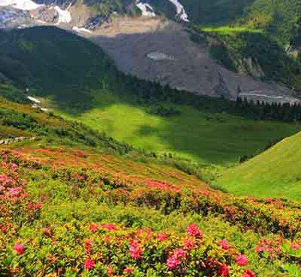 عکس طبیعت کشور فرانسه