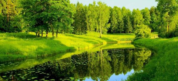 عکس فوق العاده زیبا از طبیعت