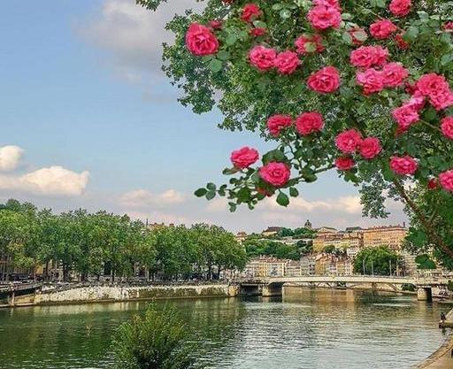 عکس طبیعی در طبیعت