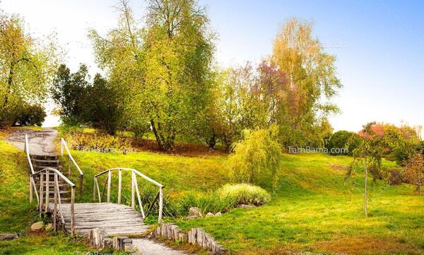 عکس طبیعی در طبیعت