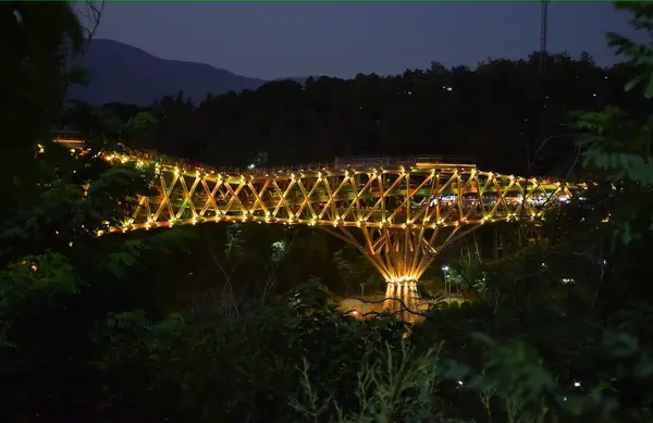 عکس طبیعی پل طبیعت