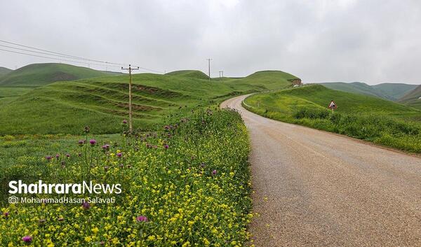عکس از طبیعت صحرا