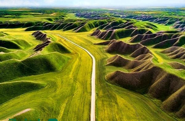 عکس از طبیعت صحرا