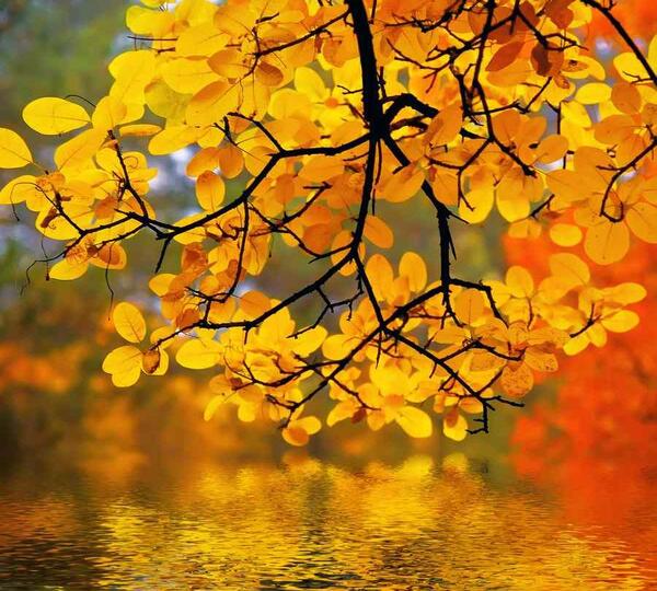 عکس طبیعت سه بعدی با کیفیت بالا