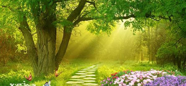 عکس از طبیعت سه بعدی