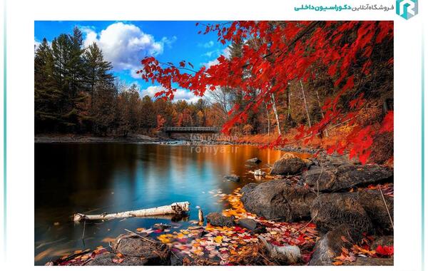 عکس از طبیعت سه بعدی
