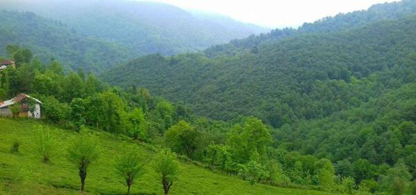 عکس طبیعت سیاهکل